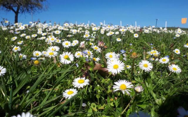 Villa du Cerf Thibault