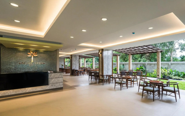 Olive Tree Hotel