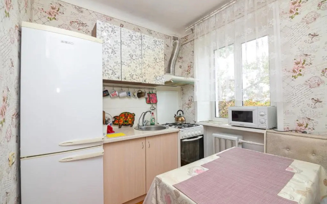 Comfortable apartments on Hrushevskogo street near 16 city hospital