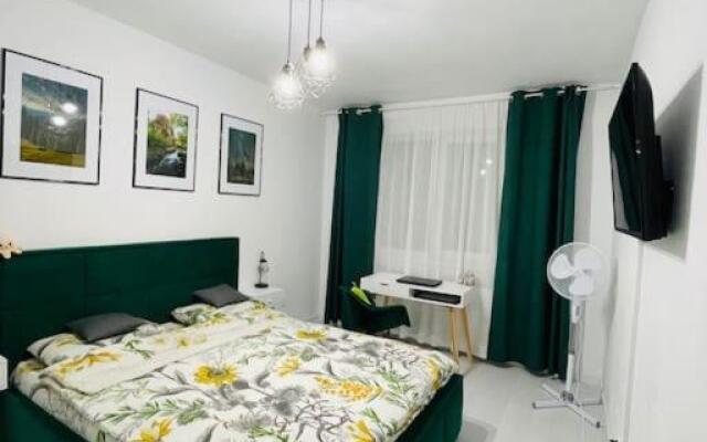 Apartament Modern Ioana