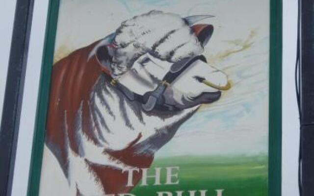 Pied Bull Hotel