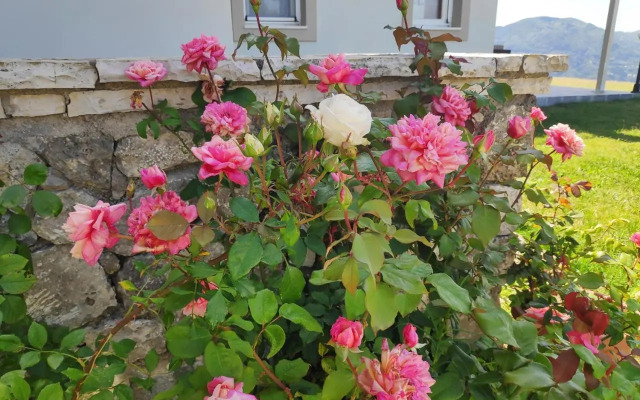 Villa Vardia