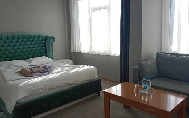 Samsun Otel Vidinli
