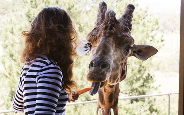 Jamala Wildlife Lodge