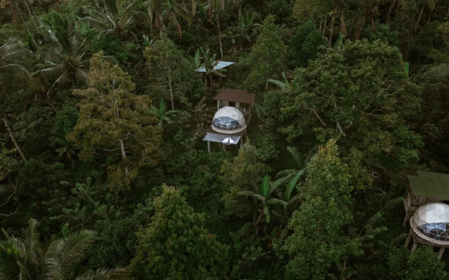 Bali Jungle Camping