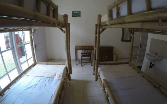 Palmyra Hostel