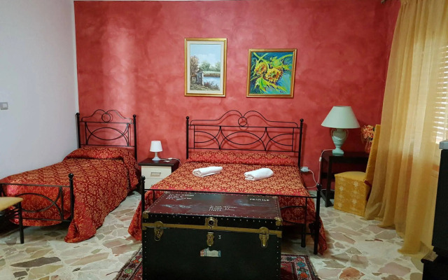 B&B Panoramic
