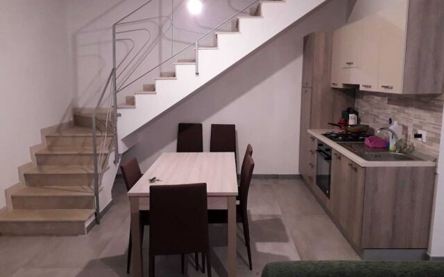 Narciso house