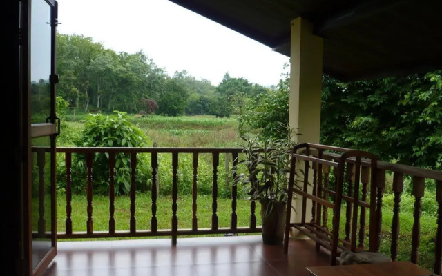 Suancha Tea Garden