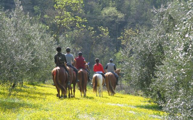 B&B Paglia e Fieno