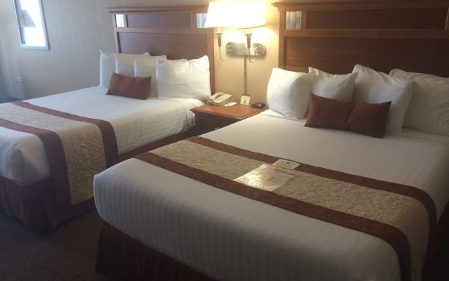 Midnight Rose & McGills Hotel & Casino