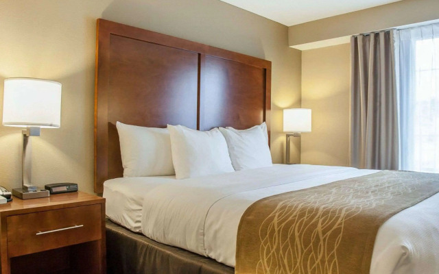 Comfort Inn & Suites Sturbridge - Brimfield