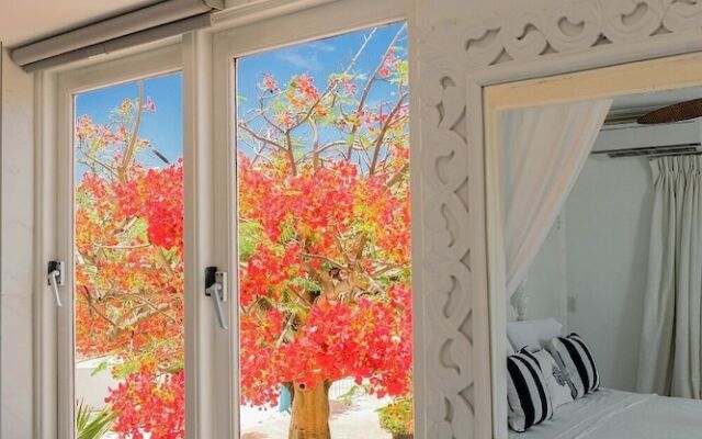Ocean Front Property - Villa 5 Aruba Stunning