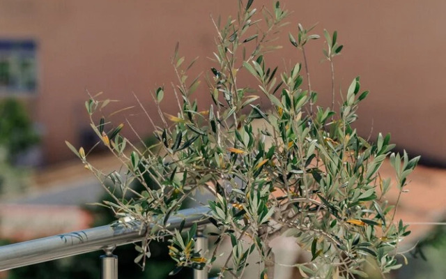 Sea View Studio With a Barbecue Area on the Terrace of the Building a Smart TV