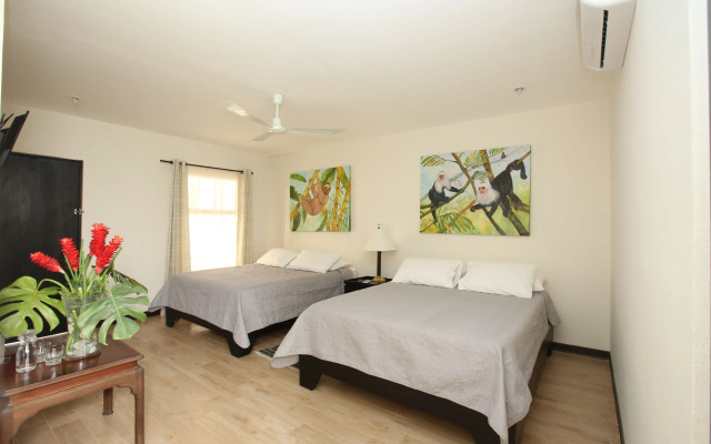 Airport Costa Rica B&B