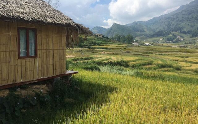 Golden Rice Garden Sapa