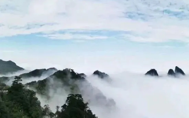 Yizhang Mangshan Qingxin Youshe Homestay