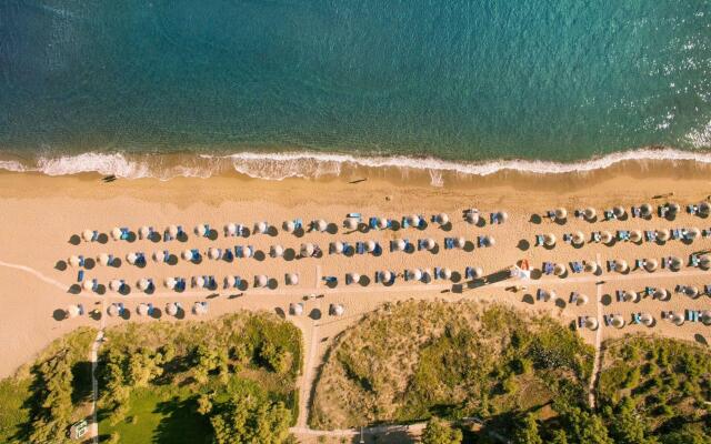 Agapi Beach Resort - All Inclusive