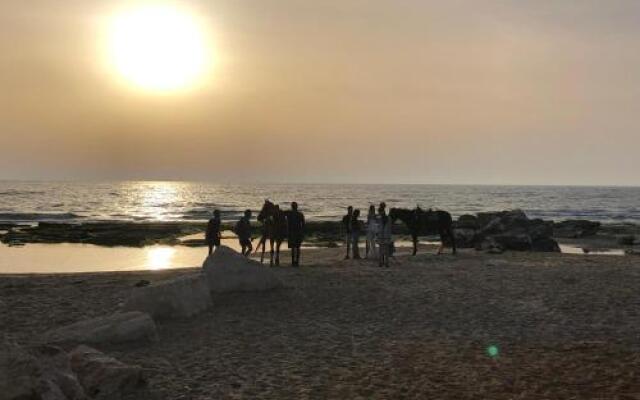 Caravans Through The Nature