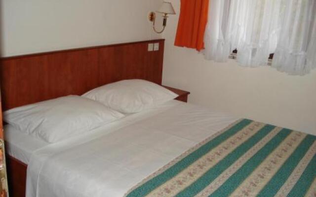 Apartments Mladina