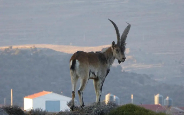 Casa rural La Sabina