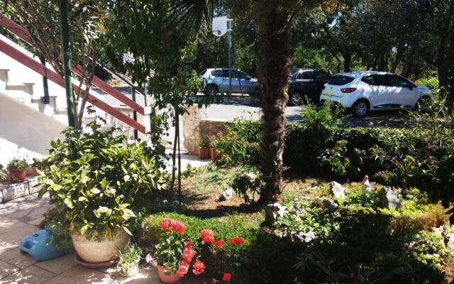 Apartment Knežević 2