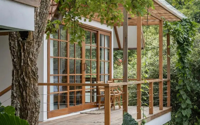 Deep Roots Dive & Yoga Resort