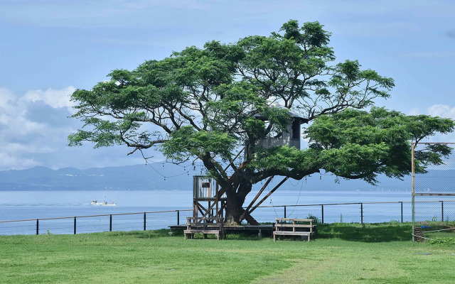 Yukusa Ohsumi Umi no Gakko