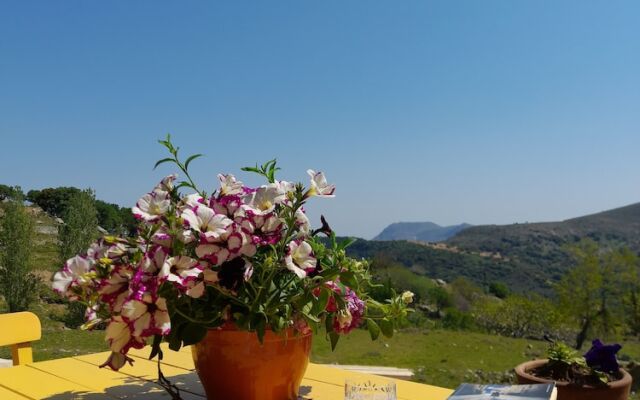 Sari Keçi̇ Taş Otel