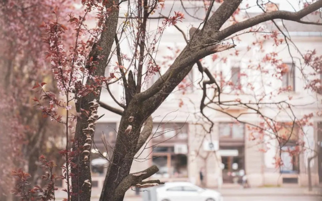 The Pearl of Esztergom