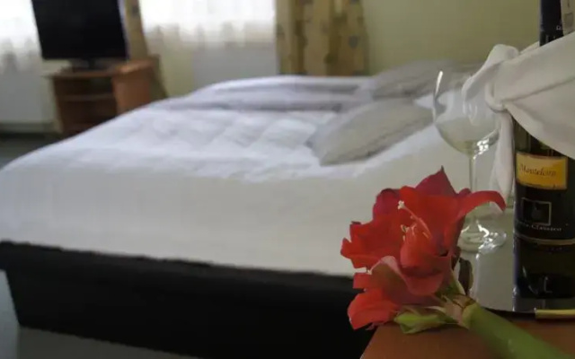 Hotel Jedlina