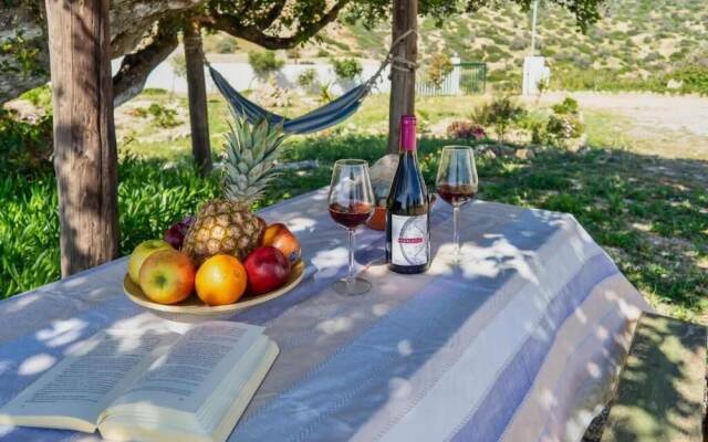 Villa George Sea View With Pool - Triopetra