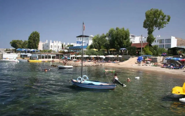 Duygulu