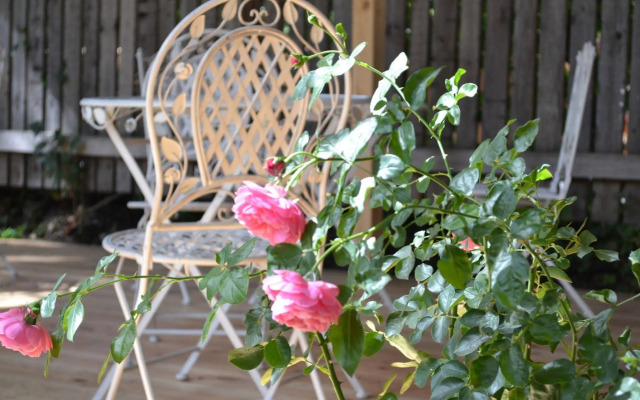 Marta Guesthouse Tallinn
