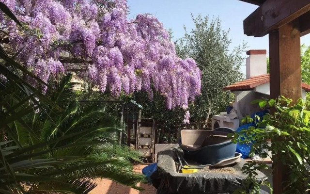 B&B La Gatta E Il Glicine