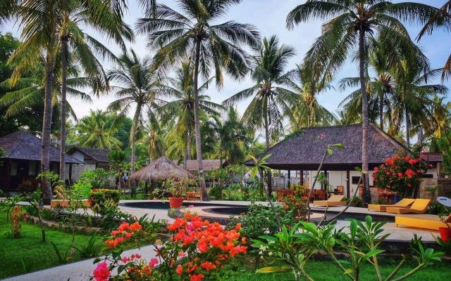 Trawangan Oasis