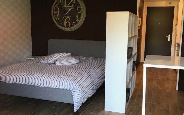 Large Studio Near Epfl And Lausanne City Center