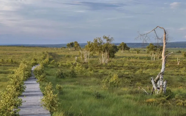 Spacious Holiday Home in Chodes With Sauna