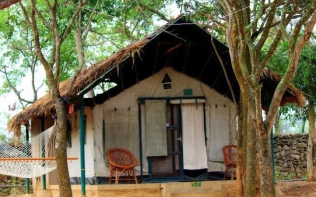 Bannerghatta Nature Camp