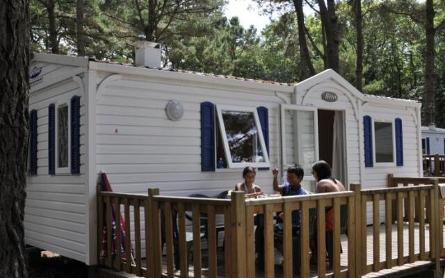 Camping Le Chateau du Petit Bois