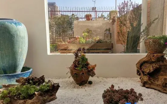 Pig Pig • Shiguang Inn