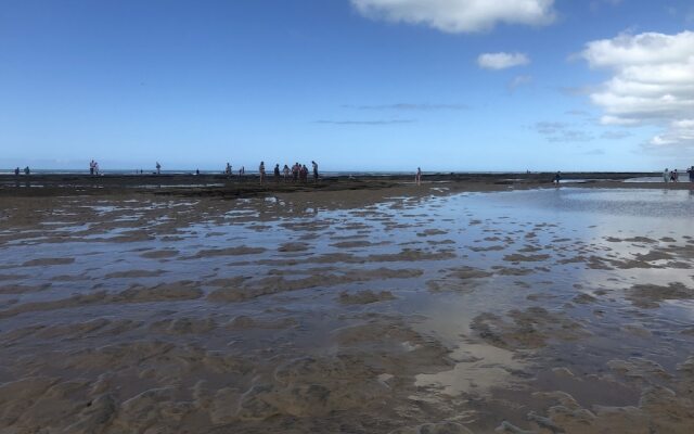 Branca Tropical Brasil Residencial