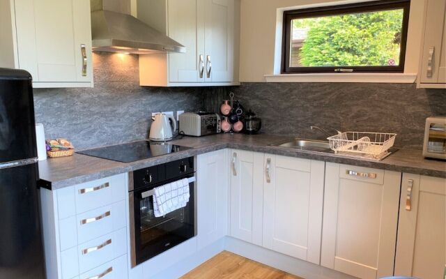 Birch Lodge 21 With Hot Tub, Newton Stewart