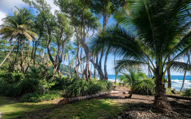 Rosalie Bay Resort