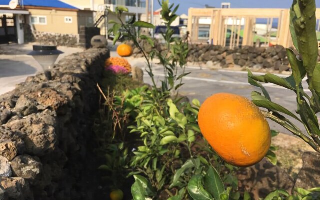 Jeju Woljeong-peanuts House Pension