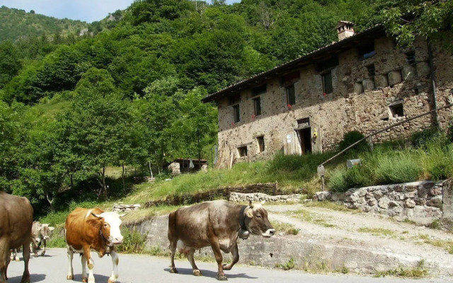 Le Fratte Sport and Relax in Hilly Area