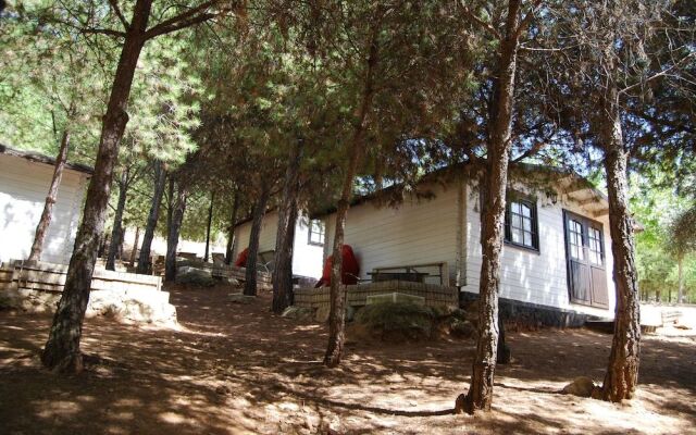 Camping ValdeArenas