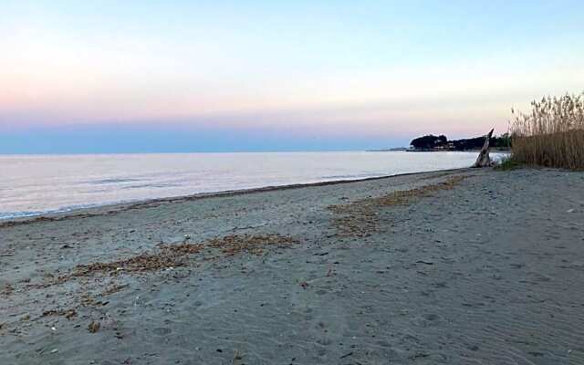 La Demeure Coloniale