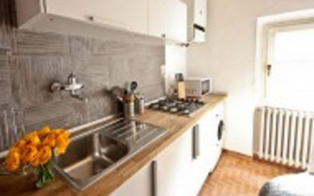 Pinzochere Michelangelo