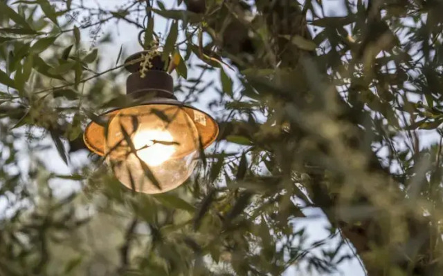 Vassilis Guest House